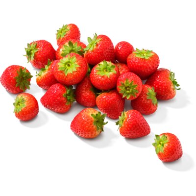 Fruit Soorten