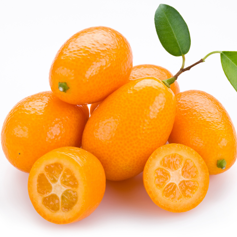 Kumquat