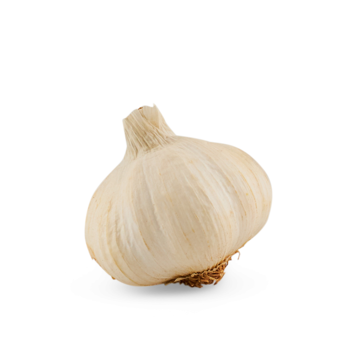 Knoflook