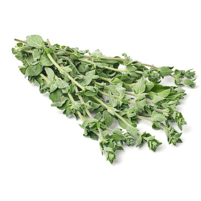 Oregano