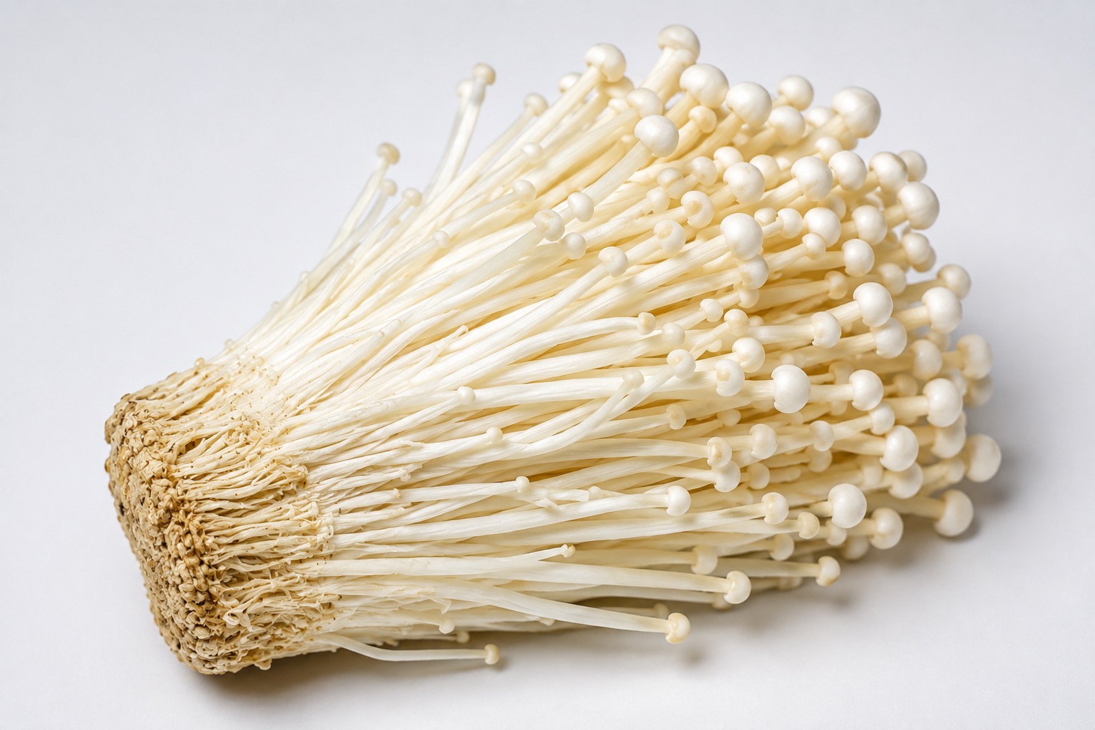 Enoki