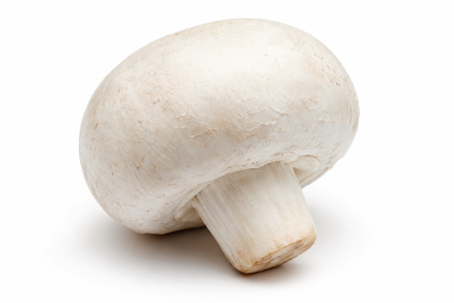 Witte champignons