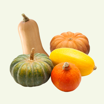 verschillende pompoen soorten
